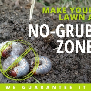 Photo of Fairway Lawns