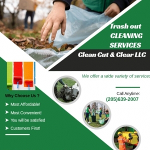 Photo of Clean Cut & Clear