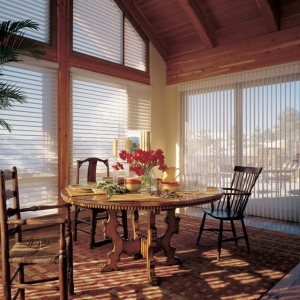 Photo of Minneapolis Window Shade