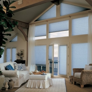Photo of Minneapolis Window Shade