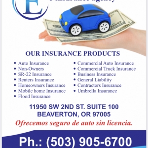 Photo of E INSURANCE AGENCY