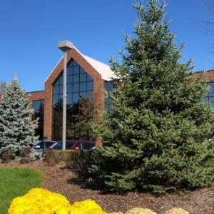 Photo of Blue Chip Partners