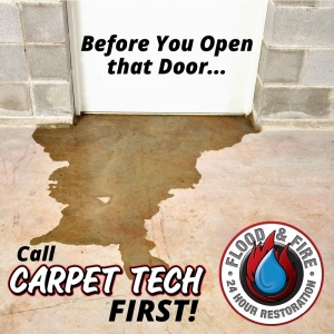 Photo of Carpet Tech