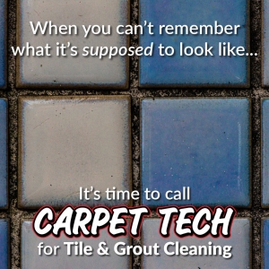 Photo of Carpet Tech