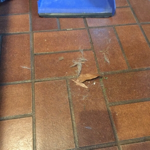 Photo of Cynthia's Cleaning Services