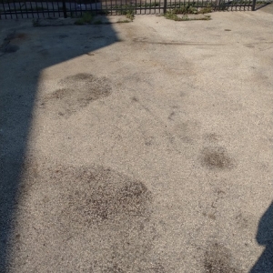 Milwaukee FiveStar PowerWashing