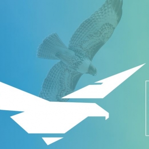Photo of Falco Strategics