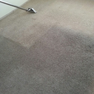 Photo of Dollars Worth Carpet Cleaning Services
