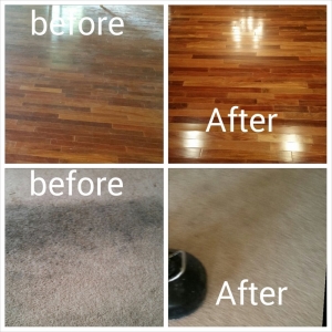 Photo of Dollars Worth Carpet Cleaning Services