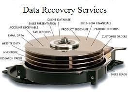 Photo of Camas Technology Specialists