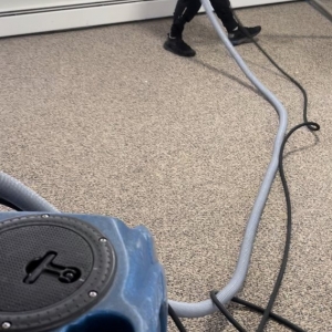 Charlotte Speedy Carpet Cleaning