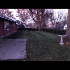 Photo of Nekola Mow & Snow