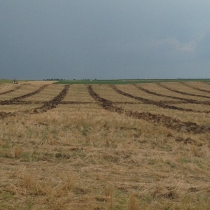 Photo of Ag Water Management