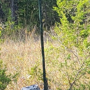 Photo of National Fence and Gate