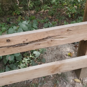 Photo of National Fence and Gate