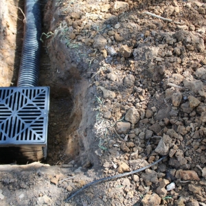 Photo of Foundation Dynamics