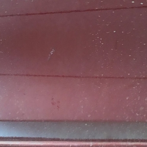 Photo of Sawmill Express Wash