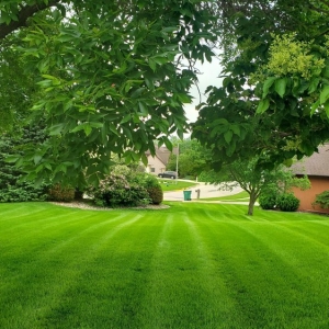 Photo of Hawcott Lawn Service