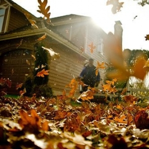 Photo of Ludy's Landscaping