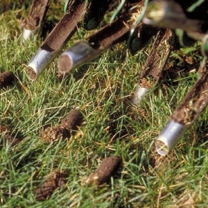 Photo of Ludy's Landscaping
