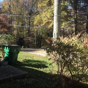 Photo of Matthews Lawn Care
