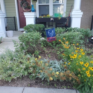 Photo of Roots Landscaping