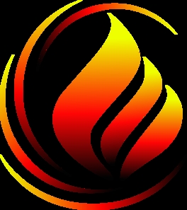 Congress Fireplace Remedies
