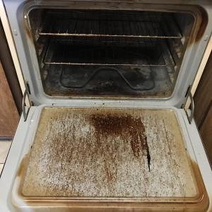 Photo of Honey Bees Cleaning and Janitorial Services