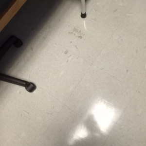 Photo of QT Cleaning Service
