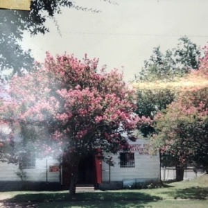 Photo of Loop Electronics