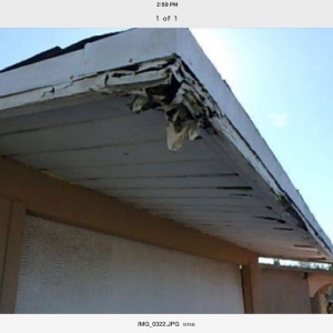 Photo of Castle Handyman Services