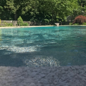 Photo of Palacios Pool Service