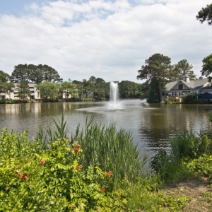 Photo of Linkhorn Bay Apartments