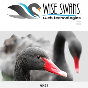 Photo of Wise Swans