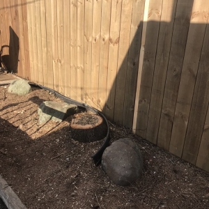 Photo of EJ's Junk Removal