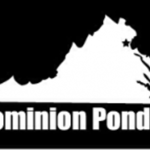 Photo of Dominion Ponds
