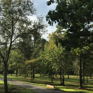 Photo of DRT Land Management