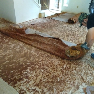 Photo of Roberts Hardwood Flooring Services