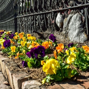 Photo of Earth Creations Landscaping