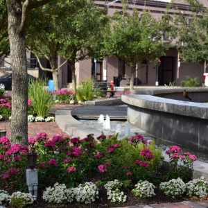 Photo of Earth Creations Landscaping