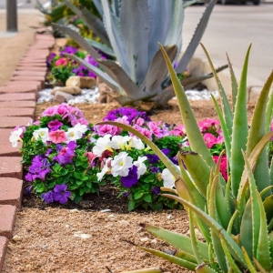 Photo of Earth Creations Landscaping