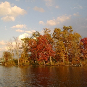 Photo of Waterbird Banquet Center
