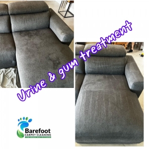 Photo of Barefoot Carpet Cleaning
