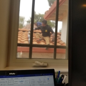 Photo of Joe's Window Cleaning