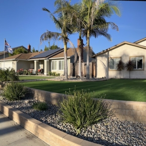 Photo of Tough Turtle Turf