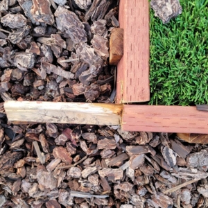 Photo of Tough Turtle Turf