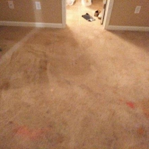 Photo of NuClean Carpet & Upholstery