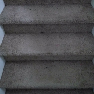 Photo of NuClean Carpet & Upholstery
