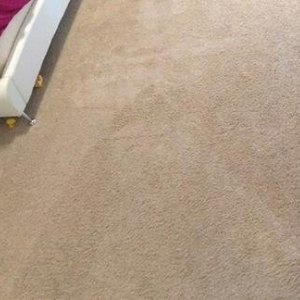 Photo of NuClean Carpet & Upholstery