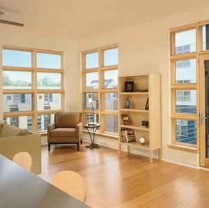 Photo of Next Door & Window